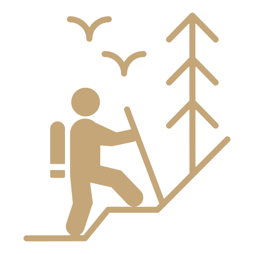 Hiking